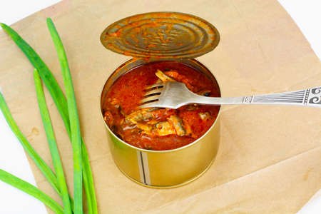 Canned Fish Sprat in Tomato Sauce Studio Photoの写真素材