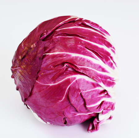 Batavian Italian Chicory Studio Phoitoの写真素材