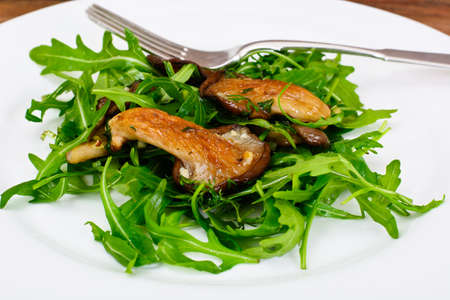 Salad and Arugula and Fried Oyster Mushrooms Studio Photoの写真素材