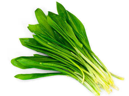 Fresh Green Wild  Leek Studio Photo