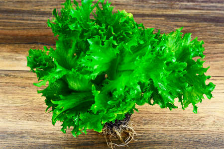 Healthy and diet food: green salad on Wood Background. Studio Photo