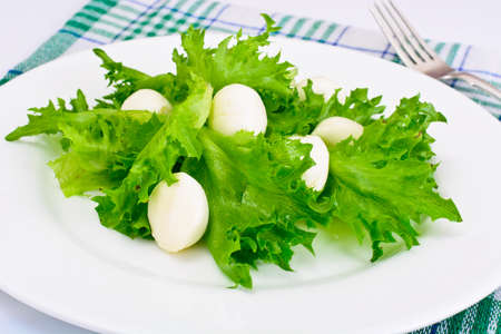 Lettuce with Mozzarella and Walnuts Studio Photoの写真素材