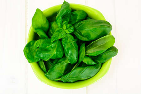 Basil on White Woody Background Studio Photoの写真素材