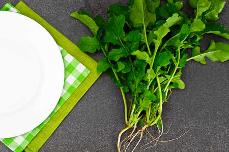Fresh Green Arugula with Empty Plate and Place for Text. Studio Photoの写真素材