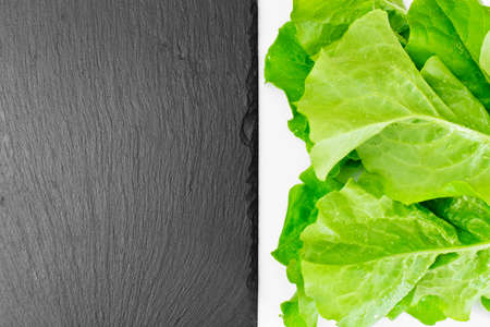 Green Fresh Lettuce with Empty Plate and Place for Your Text Studio Photoの写真素材