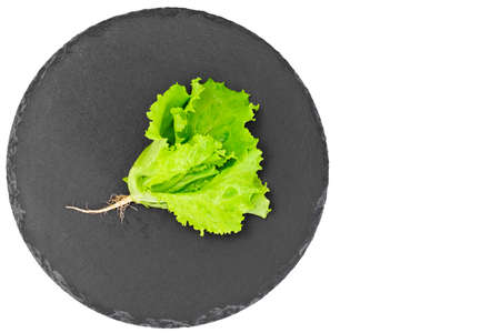 Green Fresh Lettuce with Empty Plate and Place for Your Text Studio Photoの写真素材