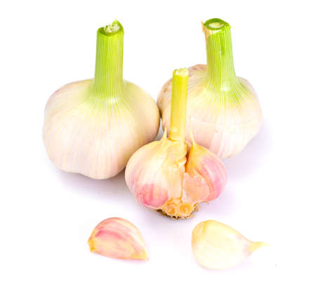 Young Garlic on a White Background Studio Photoの写真素材
