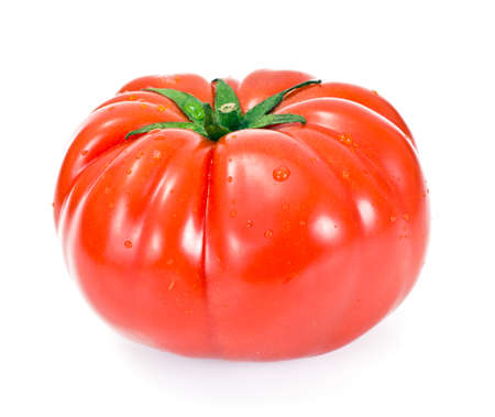 Red Tomatoes Isolated on a White Background Studio Photoの写真素材