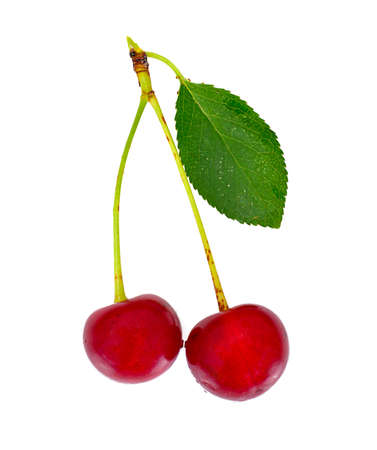 Ripe Juicy Cherries on White Background Studio Photoの写真素材