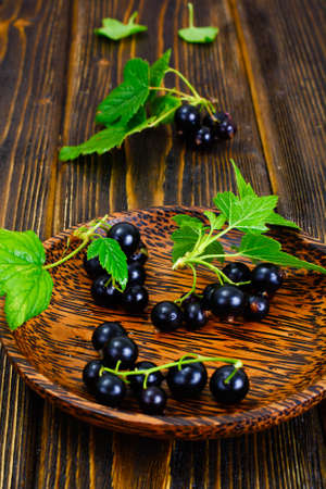 Fresh Juicy Blackcurrant Studio Photoの写真素材