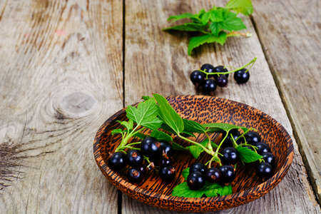 Fresh Juicy Blackcurrant Studio Photoの写真素材