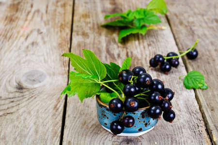 Fresh Juicy Blackcurrant Studio Photoの写真素材