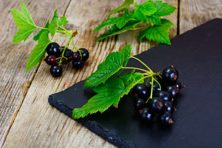 Fresh Juicy Blackcurrant Studio Photoの写真素材