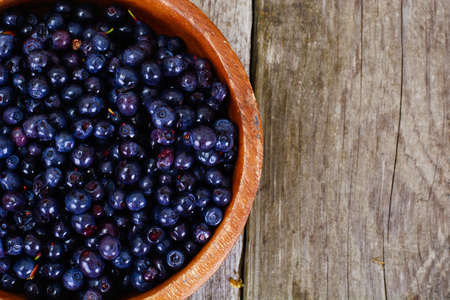 Fresh Juicy Blueberries Studio Photoの写真素材