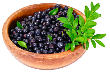Fresh Juicy Blueberries Studio Photoの写真素材