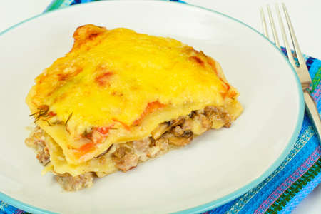 Lasagna with Minced Meat Studio Photoの写真素材