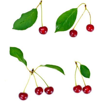Ripe Juicy Cherries on White Background Studio Photoの写真素材