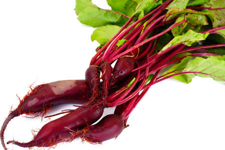 Fresh Young Beets Sudio Photoの写真素材