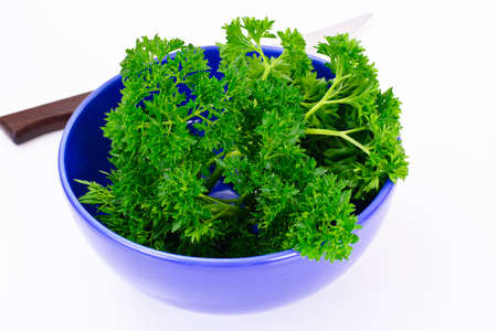 Parsley on White Background Studio Photoの写真素材