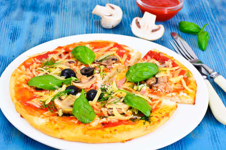 Pizza with Mushroom, Cheese, Mozzarella, Olives and Basil Studio Photoの写真素材
