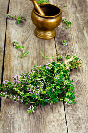 Flowers and Stems of Thyme Studio Photoの写真素材