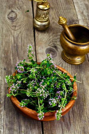 Flowers and Stems of Thyme Studio Photoの写真素材