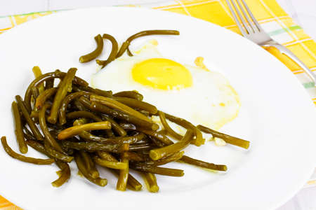 Scrambled Eggs with Fried Green Beans Studio Photoの写真素材