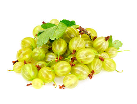 Ripe Green Gooseberry on a White Background Studio Photoの写真素材