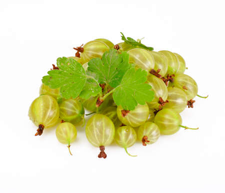Ripe Green Gooseberry on a White Background Studio Photoの写真素材