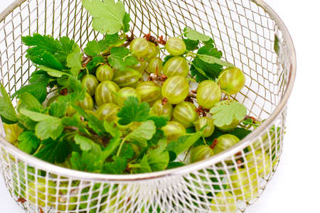 Ripe Green Gooseberry on a White Background Studio Photoの写真素材