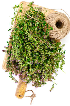 Flowers and Stems of Thyme Studio Photoの写真素材
