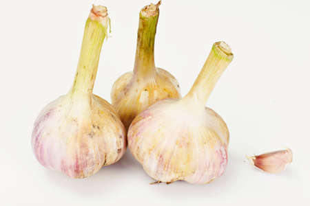 Young Garlic on a White Background Studio Photoの写真素材