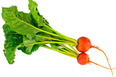 Fresh Raw Orange Beetroot, Beet. Studio Photoの写真素材