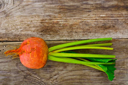 Fresh Raw Orange Beetroot, Beet. Studio Photoの写真素材