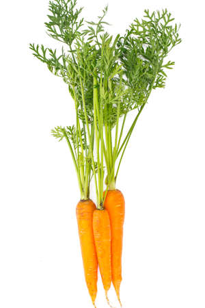 Fresh Juicy Orange Carrots Studio Photoの写真素材