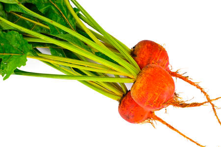 Fresh Raw Orange Beetroot, Beet. Studio Photoの写真素材