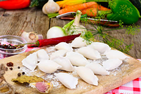 Homemade Dumplings, Russian Pelmeni Studio Photoの写真素材