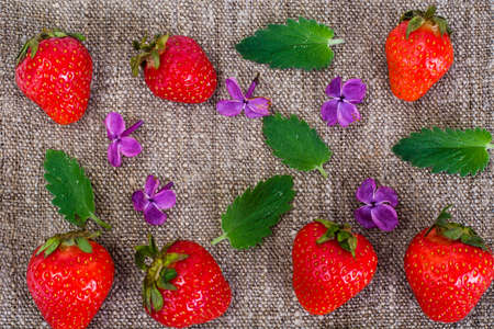 Tasty Sweet Strawberry Studio Photoの写真素材