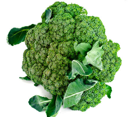 Fresh Juicy Green Broccoli on White Background Studio Photoの写真素材