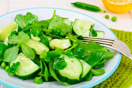 Salad with Cucumber, Purslane and Green Peas on Dark Disks Studio Photoの写真素材