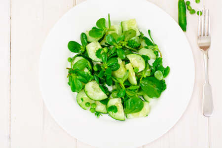 Salad with Cucumber, Purslane and Green Peas on Dark Disks Studio Photoの写真素材