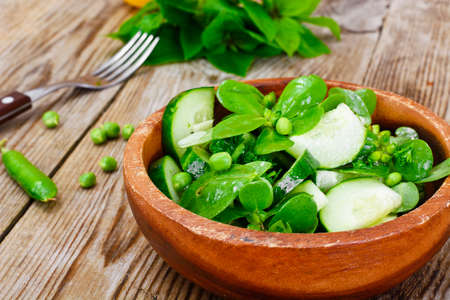 Salad with Cucumber, Purslane and Green Peas on Dark Disks Studio Photoの写真素材