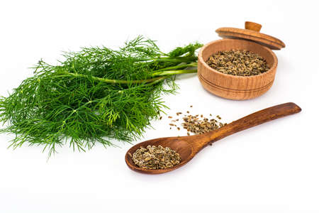 Fresh Juicy Dill Isolated on White Background Studio Photo