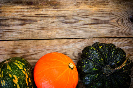 Autumn Pumpkins of different colors for Thanksgiving Day on old  gray boards.Studio Photoの写真素材