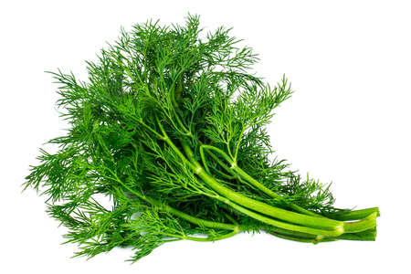 Fresh Juicy Dill Isolated on White Background Studio Photo
