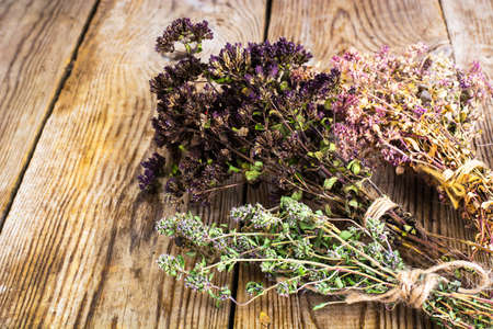 Dried Flowers and Stems of Thyme Studio Photoの写真素材