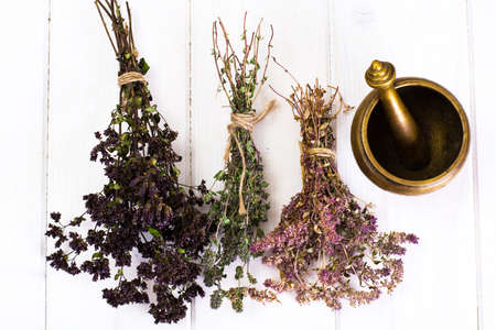 Dried Flowers and Stems of Thyme Studio Photoの写真素材