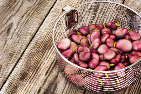 Fresh Tasty Beans Studio Photoの写真素材