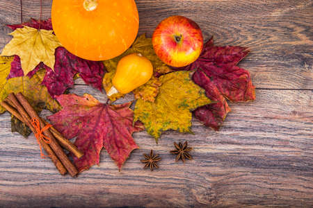 Beautifully Decorated: Pumpkin, Apple, Cinnamon. Studio Photoの写真素材