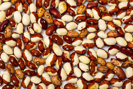 Dried White Beans Isolated on White. Studio Photo